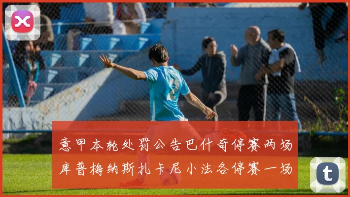意甲本轮处罚公告巴什奇停赛两场库普梅纳斯扎卡尼小法各停赛一场