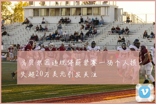 戈贝尔因违规停薪禁赛一场个人损失超20万美元引发关注
